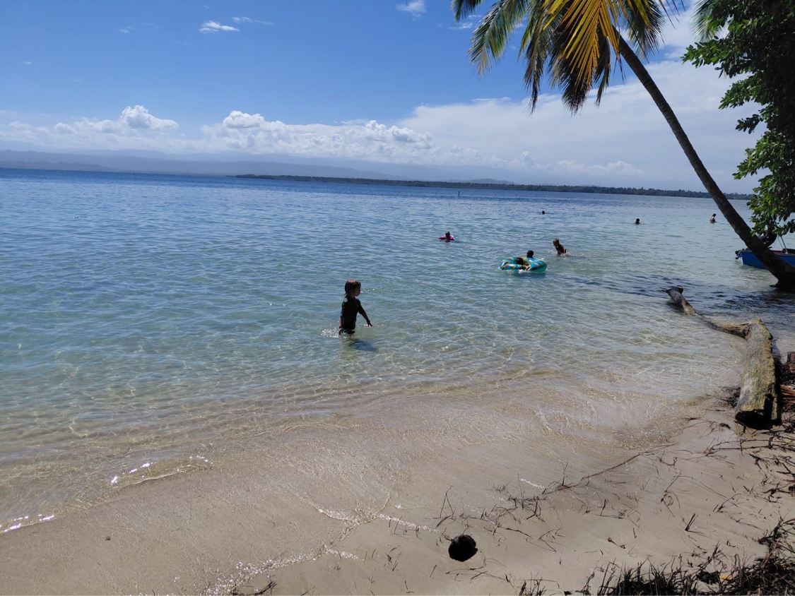 Kids swimming and floating in clear shallow water at a palm-lined beach